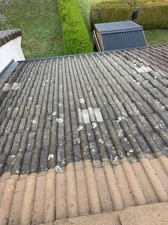 Démoussage toiture Ivry-sur-Seine
